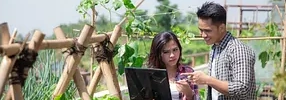 Ilustrasi Kebun Kota yang Hidup