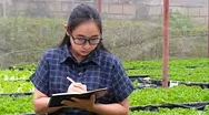 Ilustrasi Sudut Kebun Mini