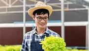 Ilustrasi Dari Teras Menjadi Kebun